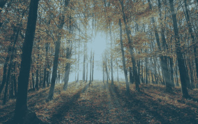 Four Chronic Illness Myths That May Be Blocking Your Healing