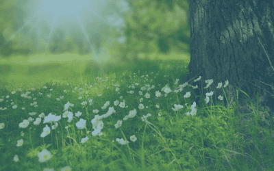 Grief as a Hormone Disruptor