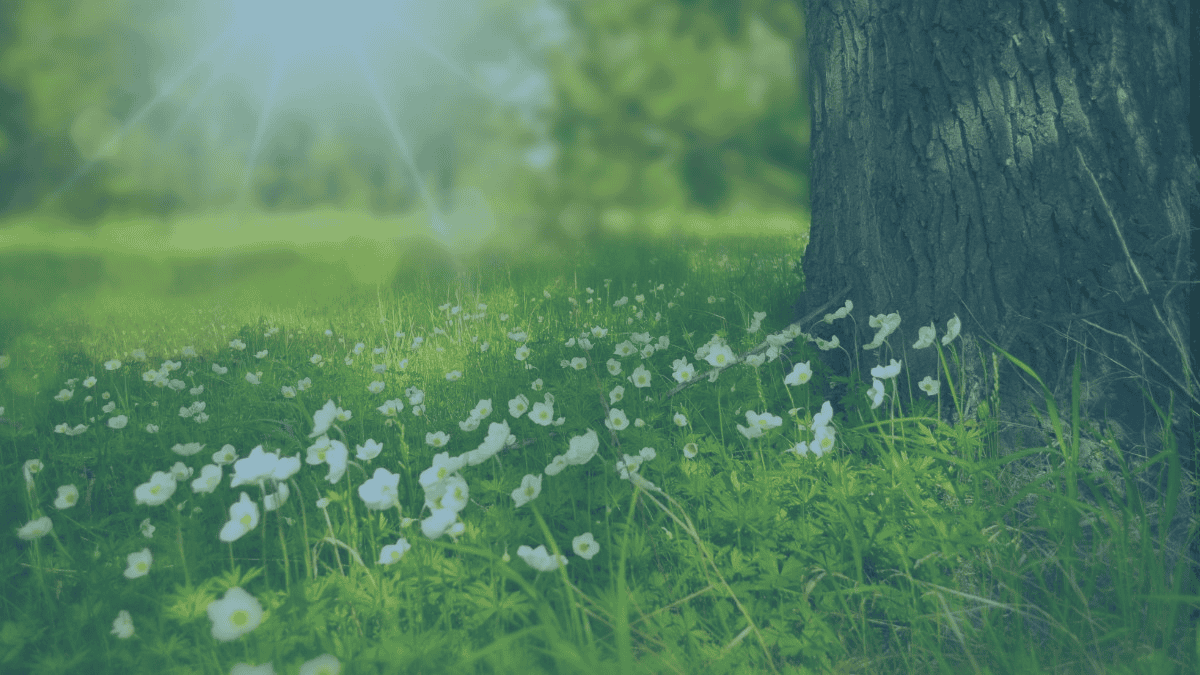Functional Medicine and Conventional Medicine - Why You Need Both