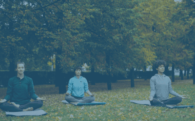 The Gut-Brain Connection: How Gut Health Affects Mood
