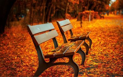 Why Fall Is the Season Your Body Asks You to Slow Down