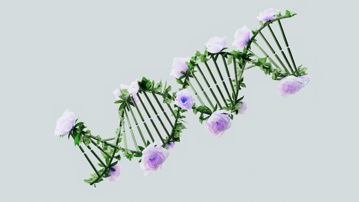 Functional Medicine and Conventional Medicine - Why You Need Both
